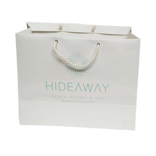 Printed Shopping Paper Carry Bag